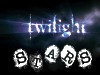 Twilight stars na letišti