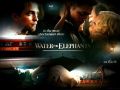 Water for elephants